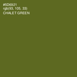 #5D6921 - Chalet Green Color Image